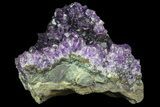Purple Amethyst Cluster - Uruguay #66827-1